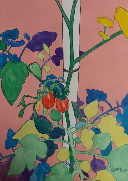 SOLANUM LYCOPERSICUM - a Paint Artowrk by ELISA BERARDINELLI